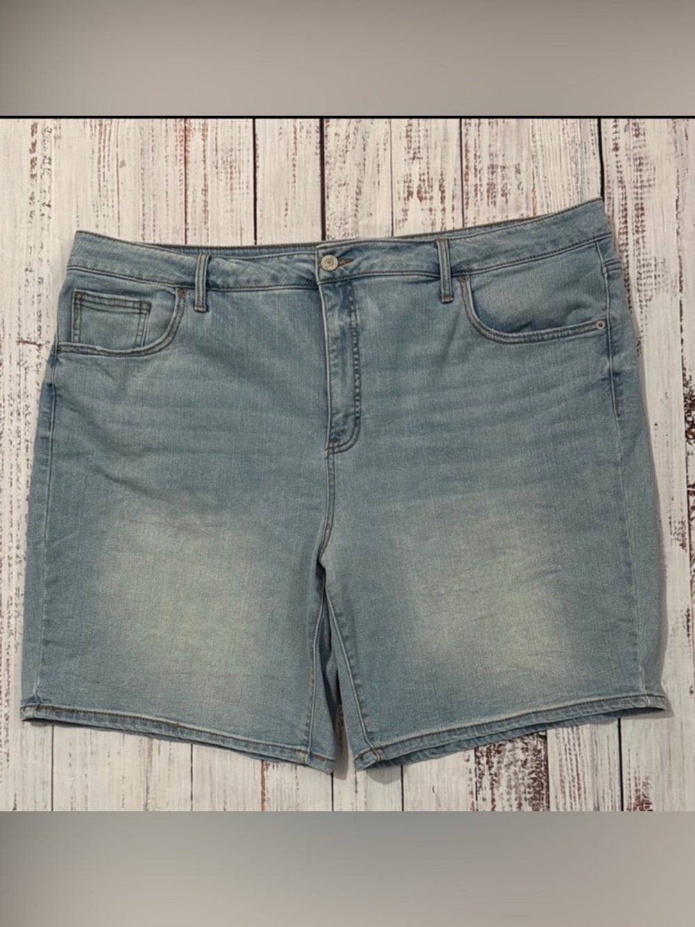 Terra & Sky Blue‎ Denim Jean Shorts 22W